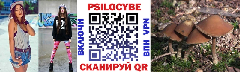 купить   Кизилюрт  Псилоцибиновые грибы ЛСД 